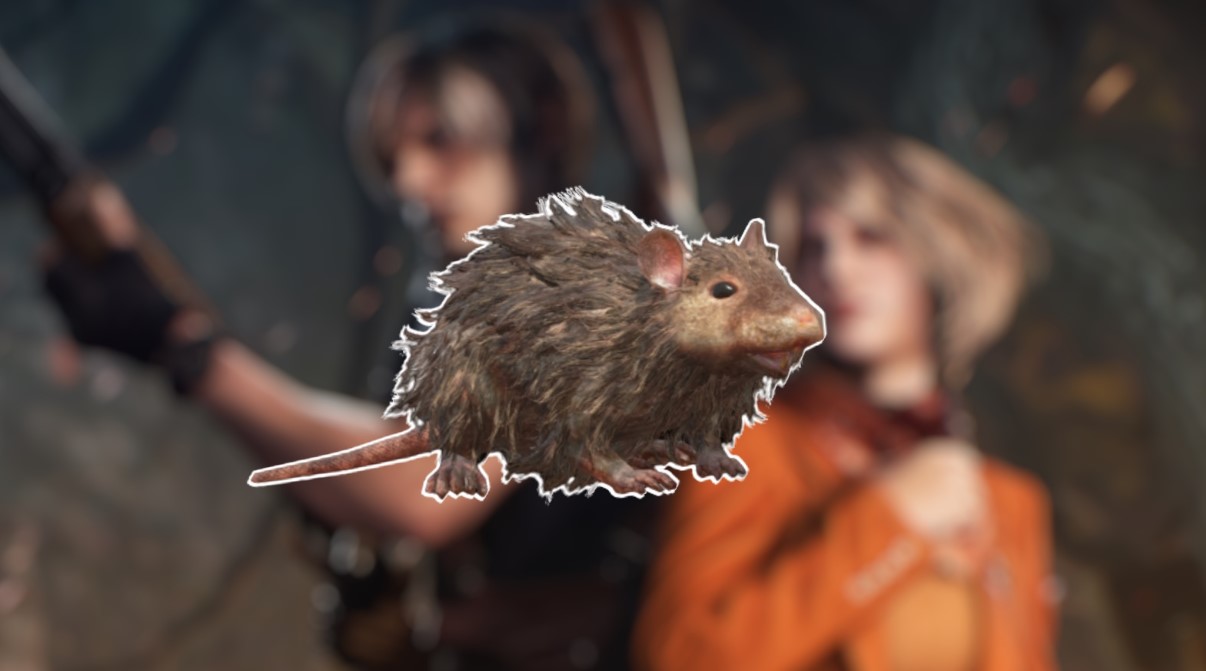 Best Way to Catch a Rat